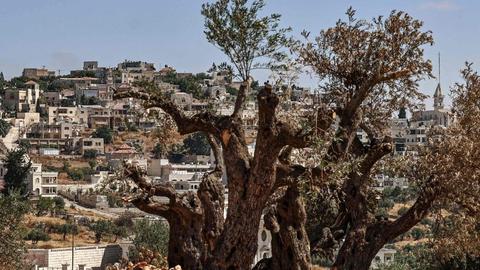 EE.UU. insta a Israel a actuar contra la violencia de los colonos en…