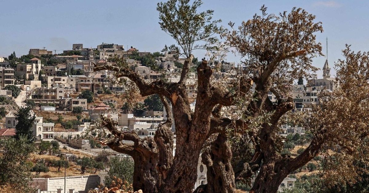 EE.UU. insta a Israel a actuar contra la violencia de los colonos en…