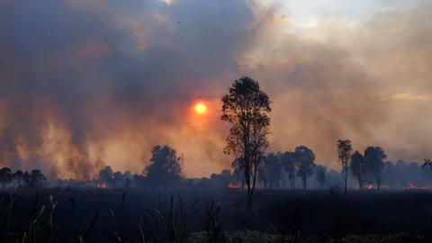 Karhutla: Kemenhut Sanksi 32 Syarikat, 12,926 Ha Terbakar