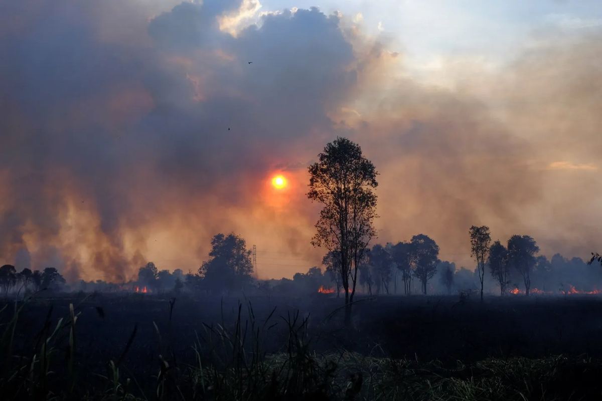 Karhutla: Kemenhut Sanksi 32 Syarikat, 12,926 Ha Terbakar