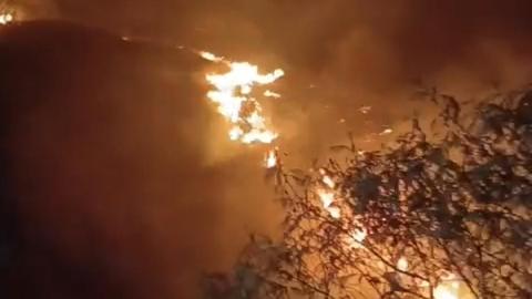 152 Pendaki Dievakuasi Ketika Hutan Gunung Sumbing Wonosobo Terbakar