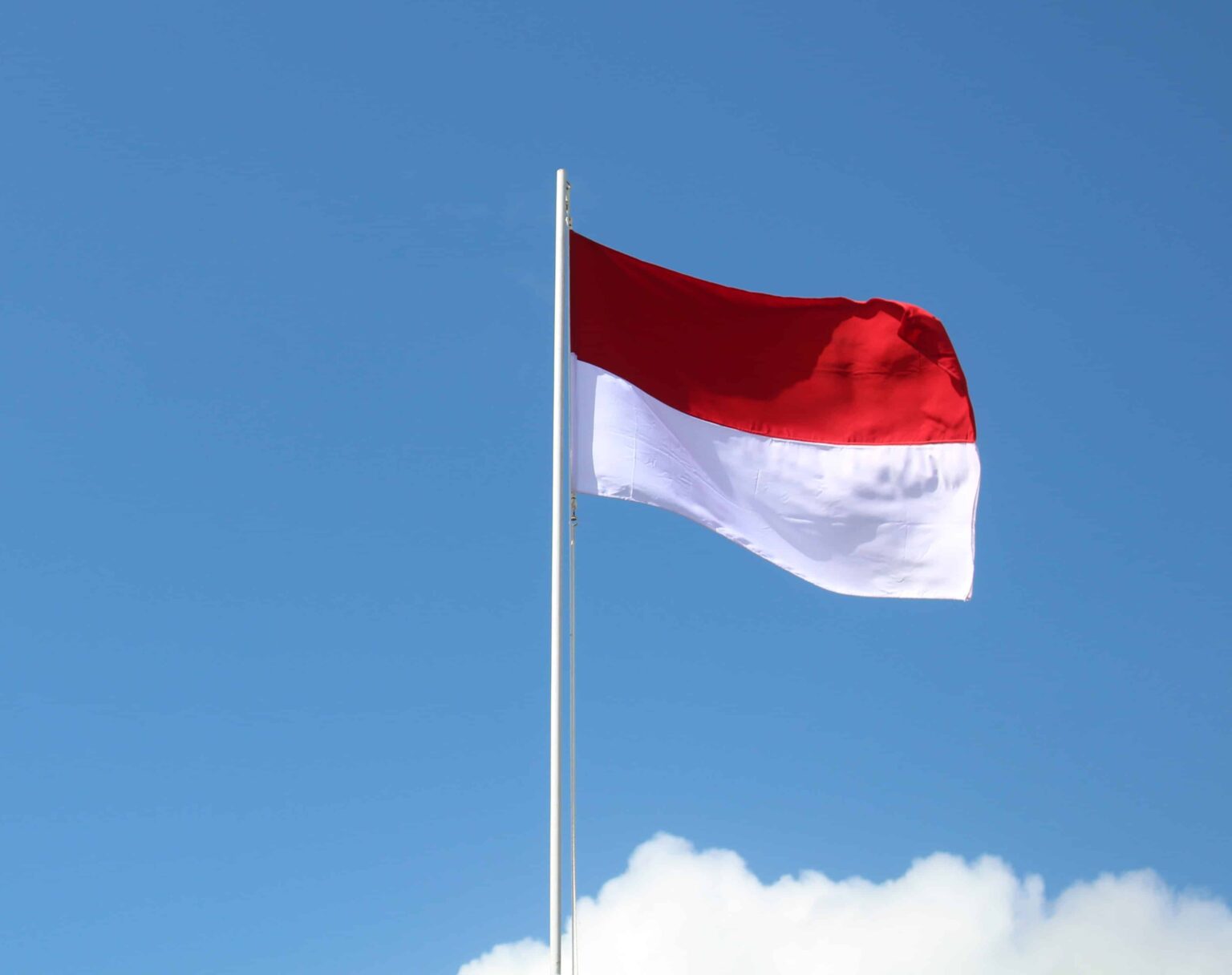 Réseau de Bénévoles 98 : Soutenir Prabowo, Prêt à Critiquer…