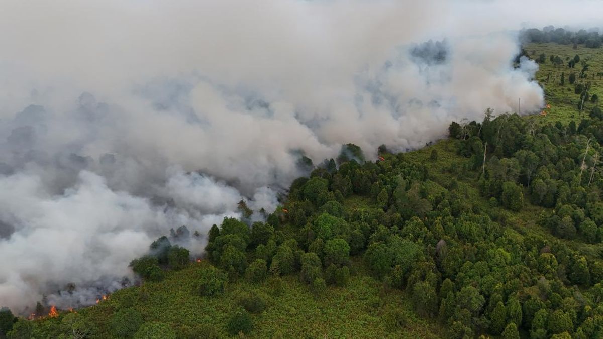 Ciremai Mount Wildfires Spread to Majalengka, 3 Helicopters Deployed