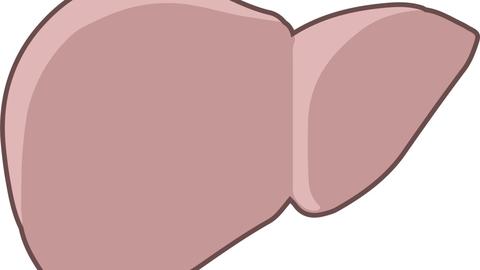 Señales de problemas hepáticos que no se deben ignorar