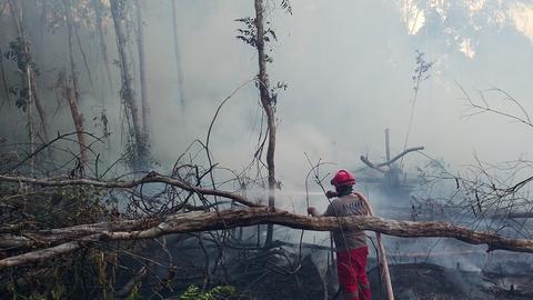 البرلمان الإندونيسي يوافق على اعتبار حرائق الغابات والأراضي إرهاباً…