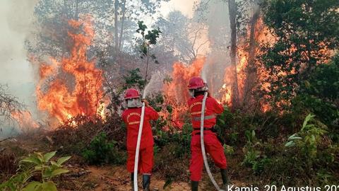 277 Mil Kasus ISPA por el humo de los incendios forestales y de…
