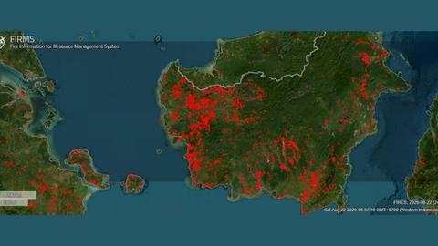 Incêndios florestais em Tanjung Puting se alastram: 513,89 ha…