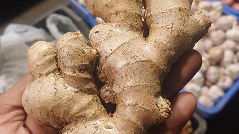 Bienfaits du gingembre pour la santé : des nausées à l'inflammation