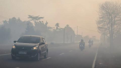 Forest Fire Smoke Blankets Palangka Raya, ISPU Reaches 1,247