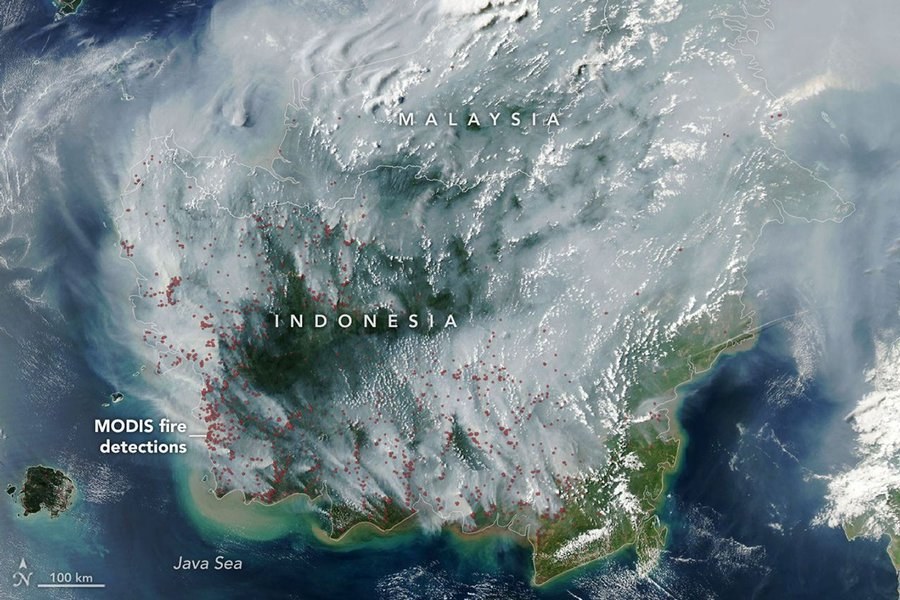 Prabowo aprueba ayuda extranjera para sofocar incendios forestales,…